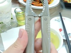 -金螃蟹