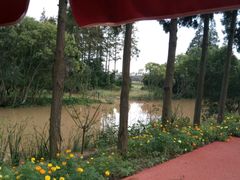 -上海长兴岛郊野公园