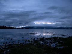 -洱海月湿地公园