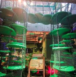 -恐龙探索乐园(磁器口店)