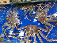 -东江海鲜酒家(艺都分店)