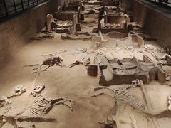 -洛阳周王城天子驾六博物馆