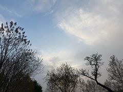 -汉长安城未央宫国家考古遗址公园