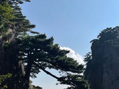 -黄山风景区