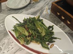 -广东大排档(国奥店)