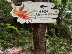 -凤栖山