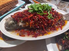 -杨氏青龙虾·羊蝎子(珠江路店)
