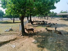 -西安秦岭野生动物园