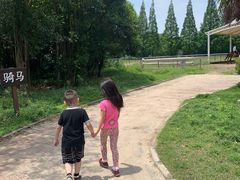 -太阳岛度假酒店