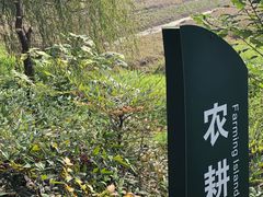 -长兴太湖图影湿地文化园
