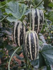 点击看大图 -悦家·美丽妈妈月子会所(龙奥店)