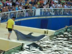 -秦皇岛乐岛海洋王国