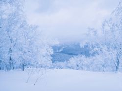 -大秃顶子山