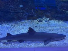 -常州海昌海洋探索馆