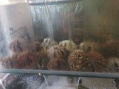 android_upload_pic-垦丁辉哥生鱼片