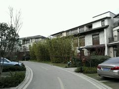 -田园东方蜜桃村的田野营地