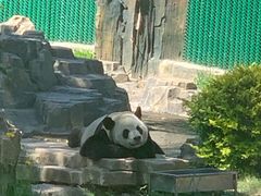 -大连森林动物园