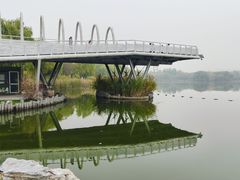 -大兴滨河森林公园