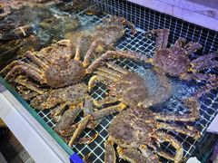 -开海·红岛海鲜虾水饺(石老人店)