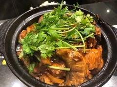 麻辣鲶鱼煲-川香煲(茅台路店)