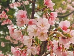 -静安雕塑公园