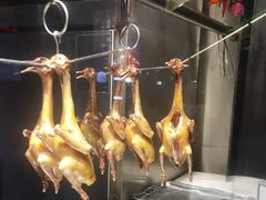 -三强鸽子(中原路店)