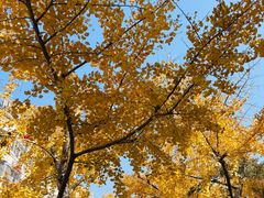 -华东政法大学(松江校区)