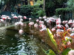 -九龙公园