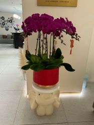 -Dr.林醫生产后修复·超级店(南京江宁同曦店)