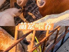 -栖露营camping·天幕烧烤·团建拓展·采摘营地