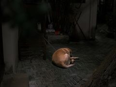 -漕溪人家
