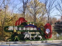 -泗洪洪泽湖湿地景区