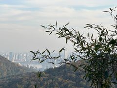 -太子湾公园-九曜山