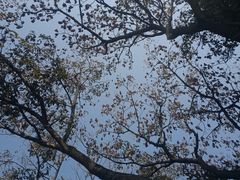 -石湖景区