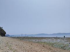 -大长山岛