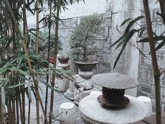 -觀芷隐轩