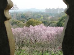 -无锡梅园公园