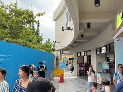 -圣淘沙天际线斜坡滑车