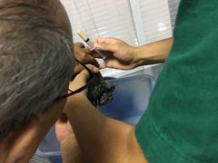 -瑞派福兴宠物医院犬猫全科·骨科·中西医结合(河东店)