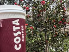 -COSTA COFFEE(上海虹口公园店)