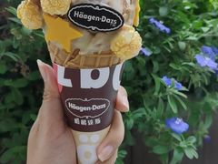 -哈根达斯(深圳海岸城店)