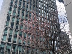 -陆家嘴世纪金融广场