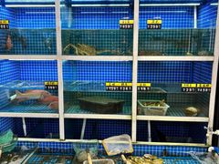 -金龙·打边炉(南京西路店)