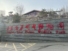 -青藏高原野生动物园