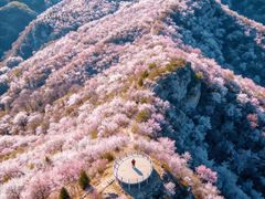 -北京凤凰岭