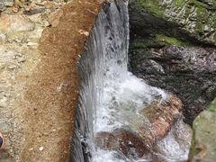 -牛背梁国家森林公园