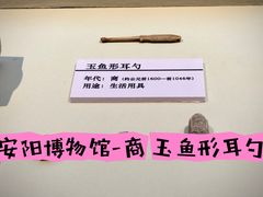 -安阳博物馆