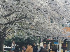 -玛格萝妮比萨屋(四平店)