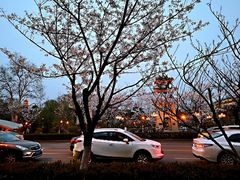 -吾悦广场(南京鼓楼店)