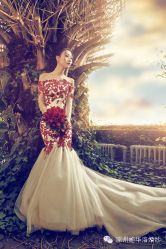 -施华洛婚纱摄影会所(范阳中路店)